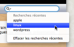 Le bouton de recherche pour Safari